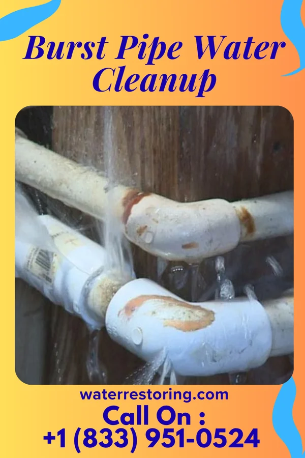 Burst Pipe Water Cleanup in Wallace, IN