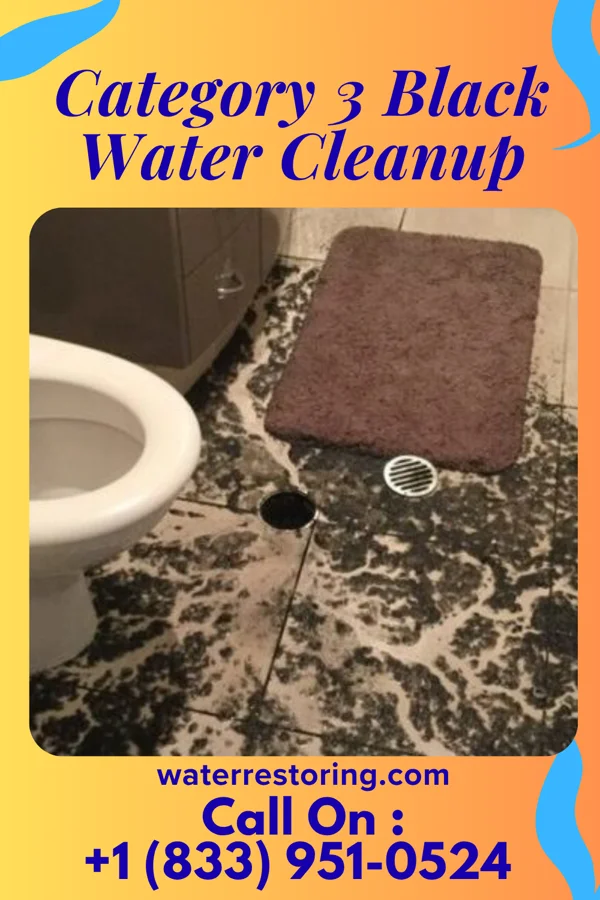 Category 3 Black Water Cleanup in Wallace, IN