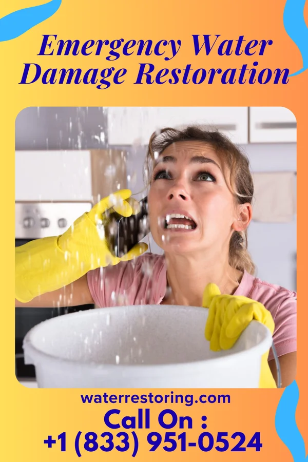 Emergency Water Damage Restoration in Wallace, IN