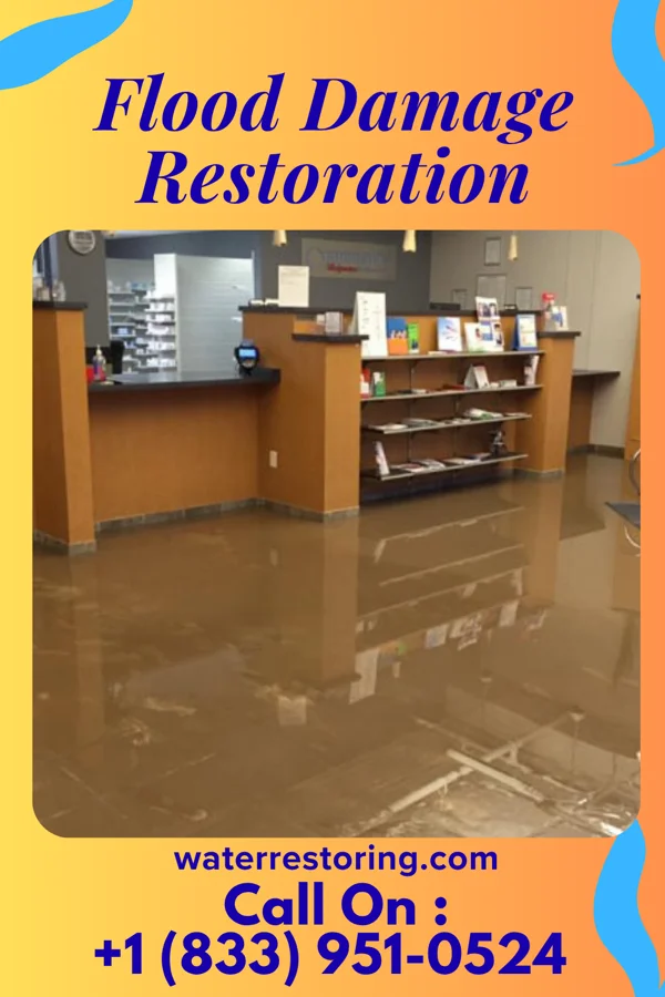 Flood Damage Restoration in Wallace, IN