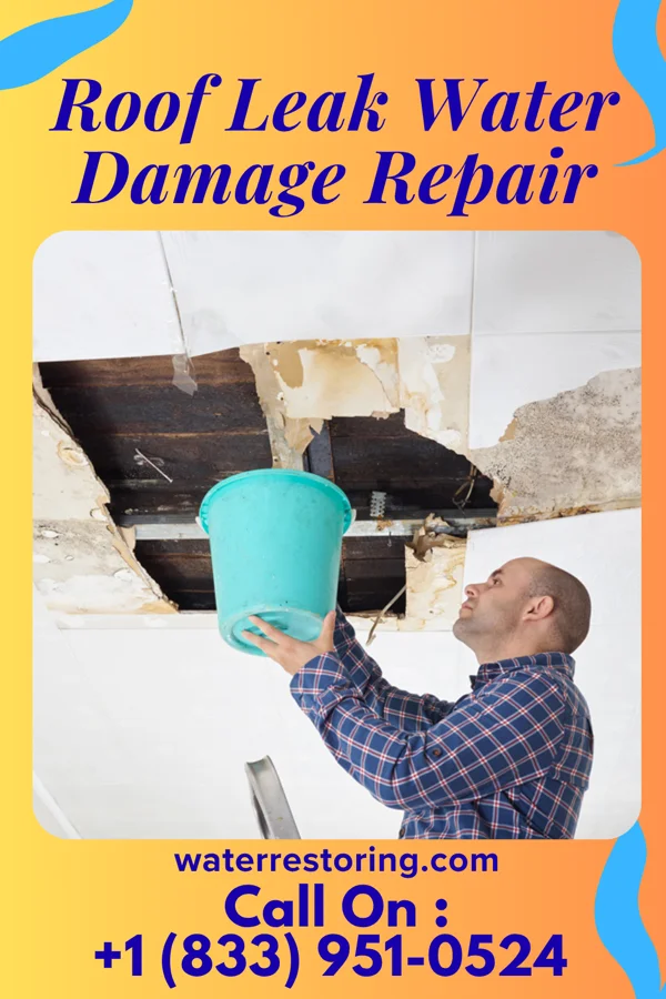 Roof Leak Water Damage Repair in Wallace, IN