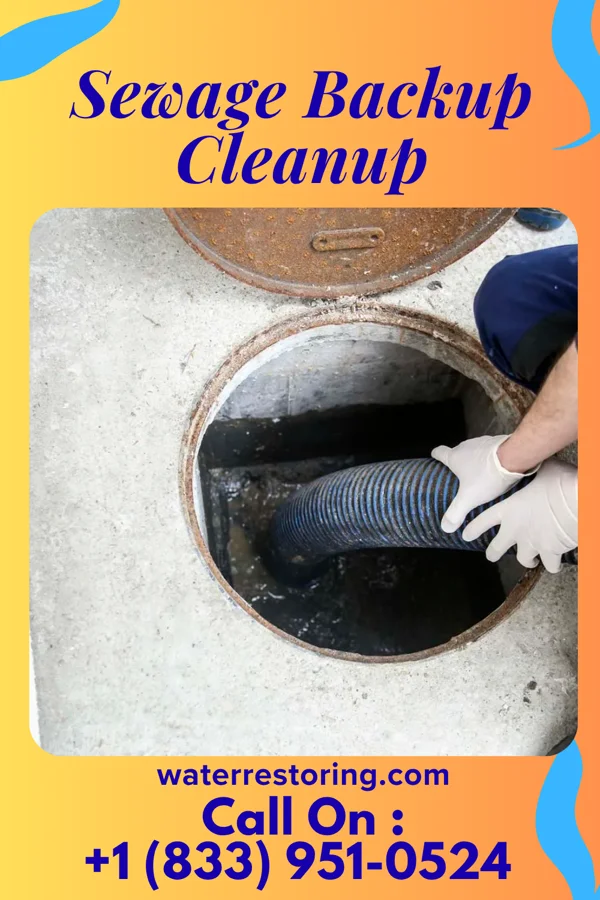 Sewage Backup Cleanup in Wallace, IN