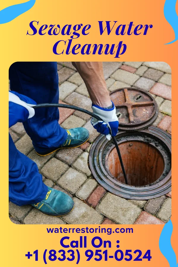 Sewage Water Cleanup in Wallace, IN